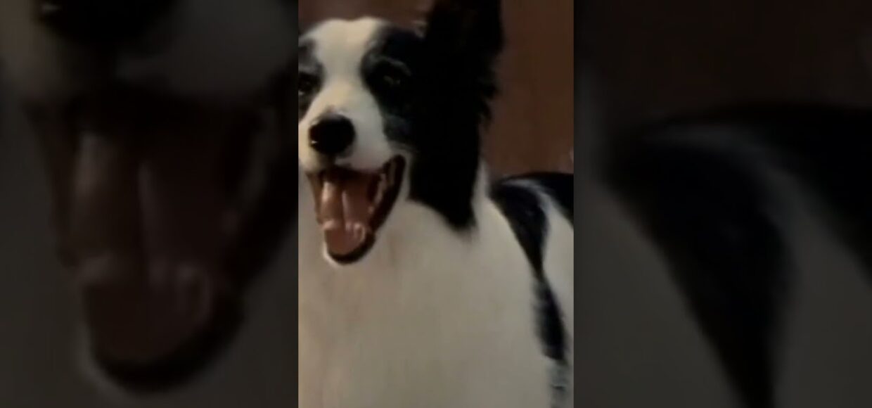 Best Stoner Movies & Comedies to Watch High 🎬 Part 3 #movie #film