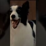 Best Stoner Movies & Comedies to Watch High 🎬 Part 3 #movie #film