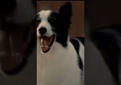 Best Stoner Movies & Comedies to Watch High 🎬 Part 3 #movie #film